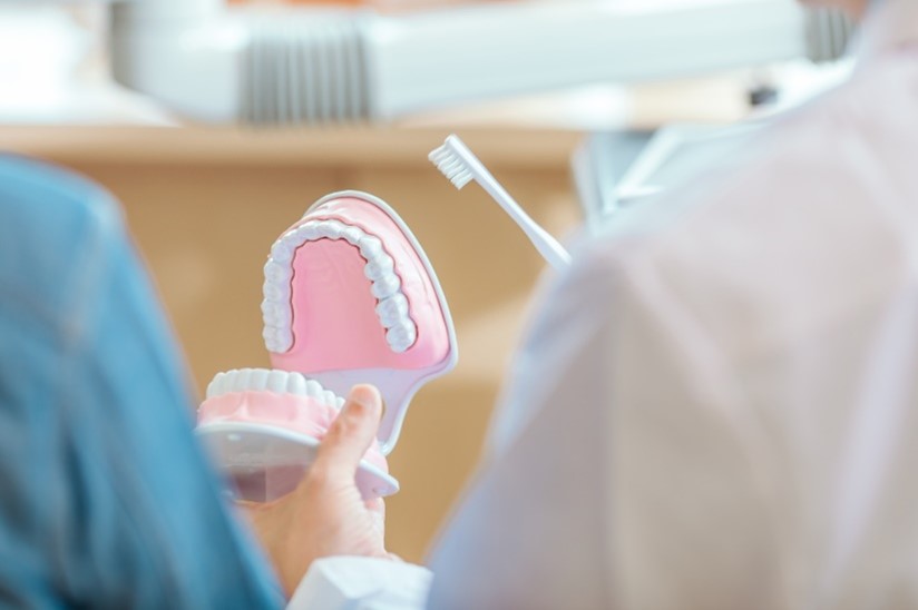 口の模型を使用して歯ブラシ指導をする歯科医師のイメージ写真